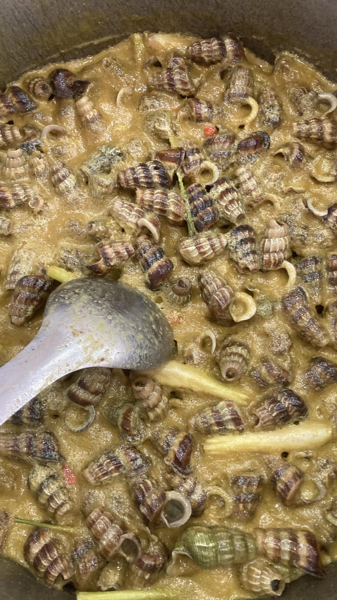 Top 3 Quán Ốc – Hải Sản Tươi Sống Ngon Nhất Nhơn Trạch, Đồng Nai