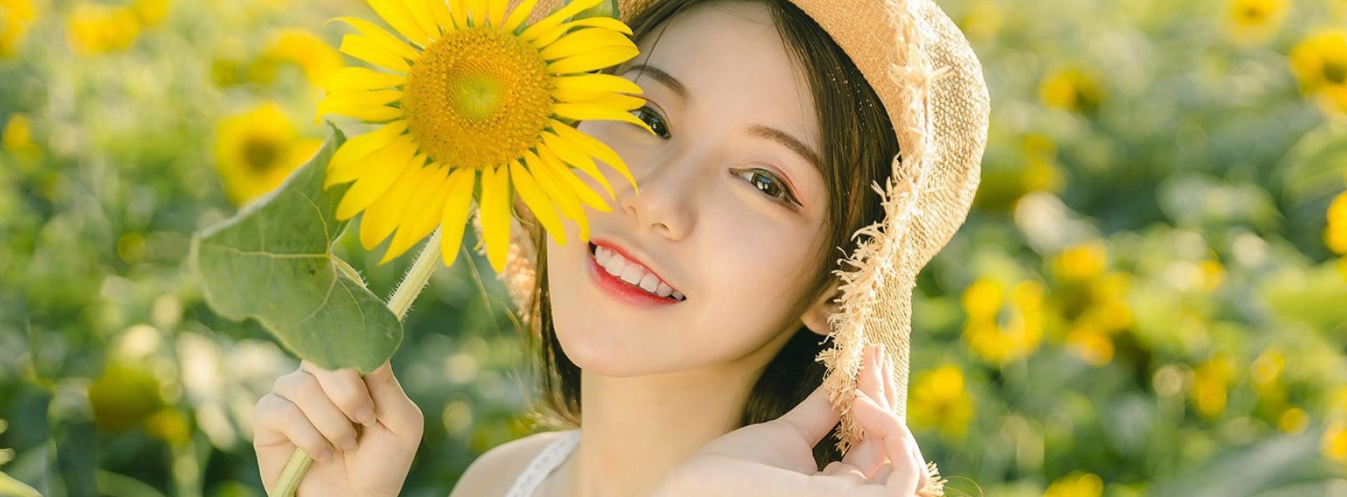 Top 3 Tiệm Hoa Tươi Uy Tín, Chất Lượng Tại Hòa Thành, Tây Ninh