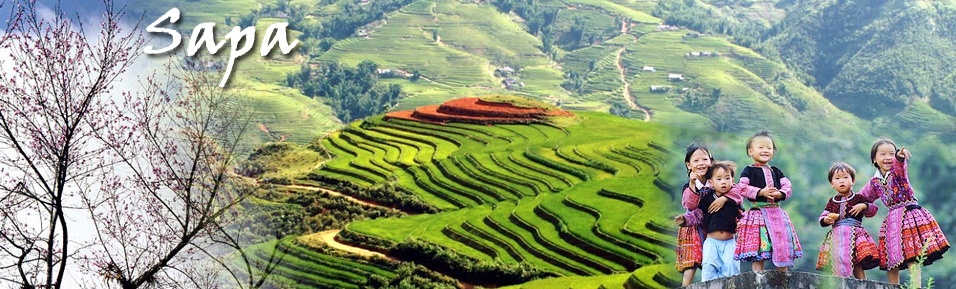 Khám Phá Top 3 Công Ty Du Lịch Uy Tín Tại Tân Bình, TP HCM