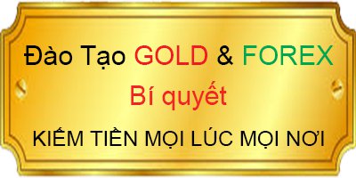 Top 3 Trung Tâm Đào Tạo Forex Uy Tín Tại TPHCM