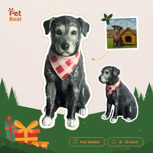 Top 3 Nhà Cung Cấp Mô Hình Thú Cưng Chuyên Nghiệp Và Độc Đáo