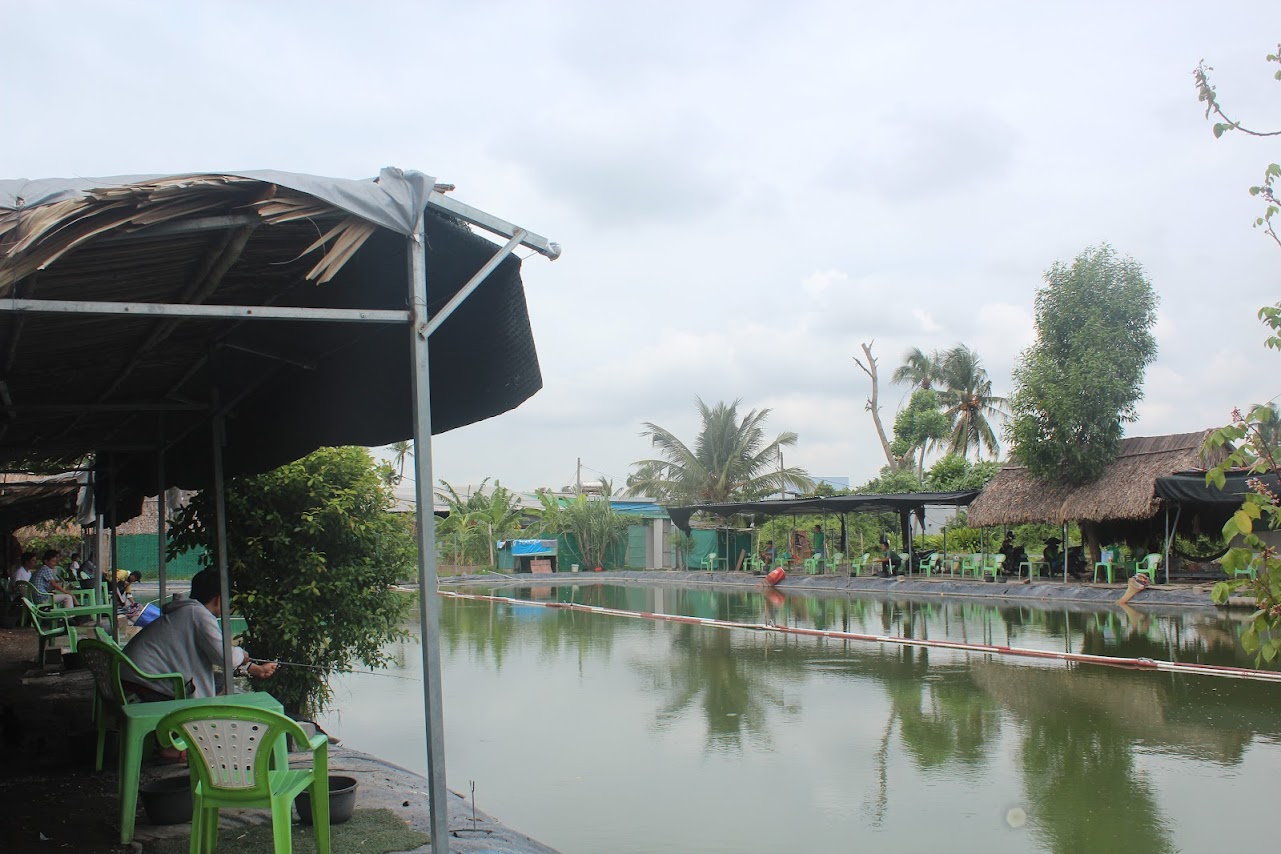 Hồ câu cá giải trí