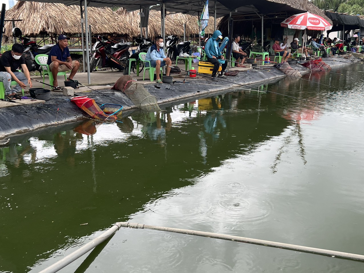 hồ câu cá thành phố hồ chính minh