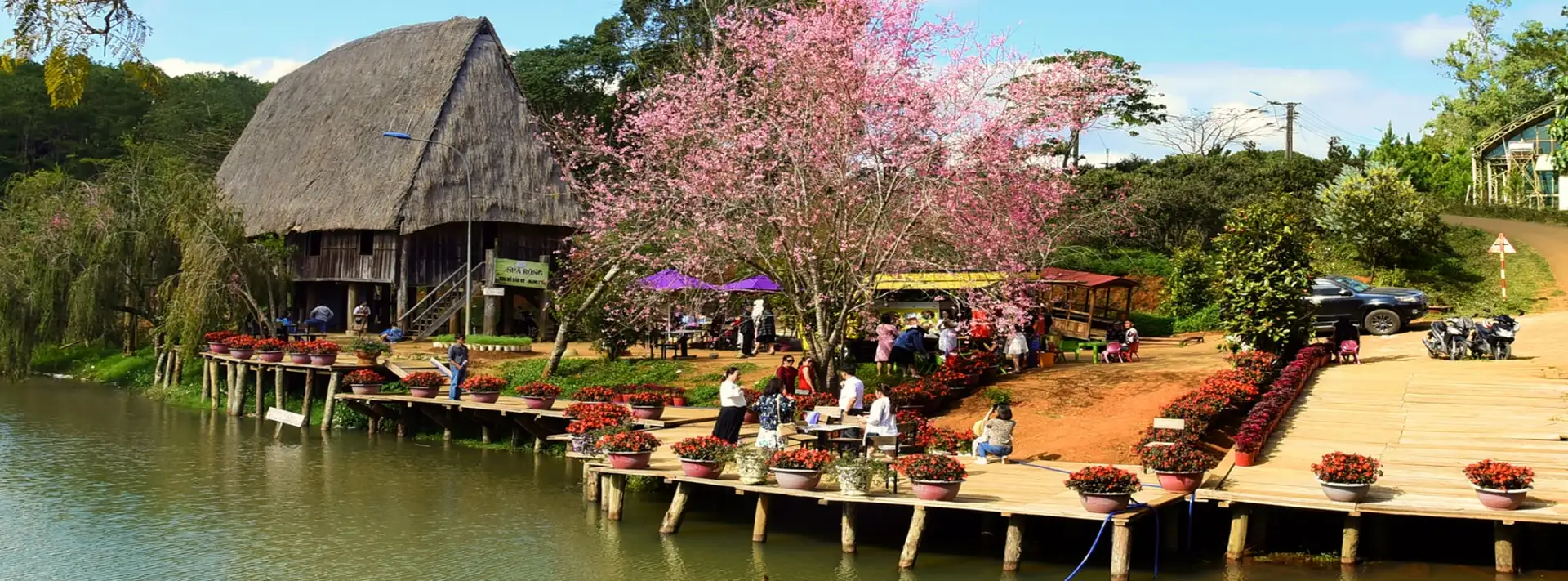 hương rừng quán