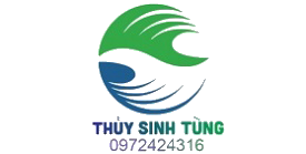 Top 3 đơn vị cung cấp vật tư phụ kiện hồ thủy sinh uy tín tại Gò Vấp