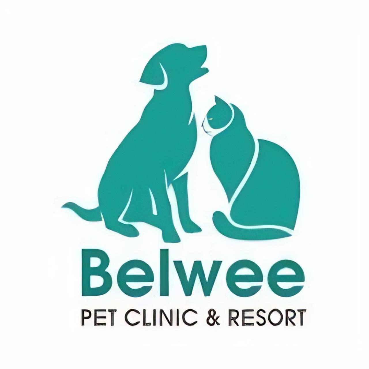 Top 3 Cơ Sở Thú Y Uy Tín tại Gò Vấp