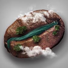 Top 3 Công Ty Cà Phê Uy Tín Tại Hóc Môn – Đánh Giá Chi Tiết Từ Chất Lượng Đến Dịch Vụ