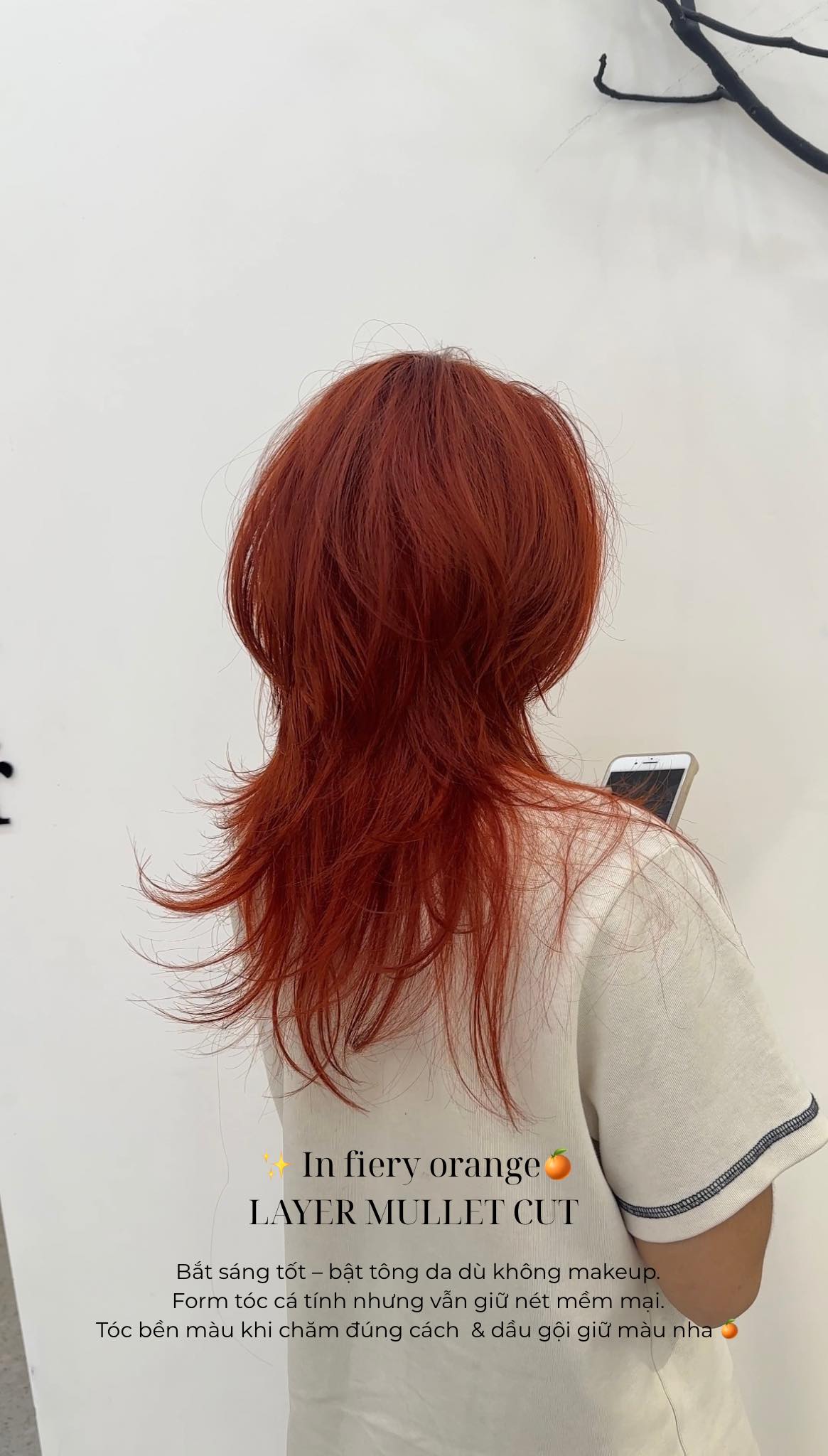 Top 3 Hair Salon Uy Tín, Chất Lượng Nhất Quận Tân Phú: Nơi Nâng Tầm Nhan Sắc