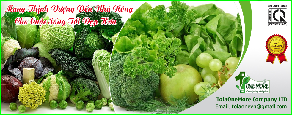 Top 3 đơn vị chuyên cung cấp sản phẩm phân bón cao cấp trong ngành công nông nghiệp tại Việt Nam