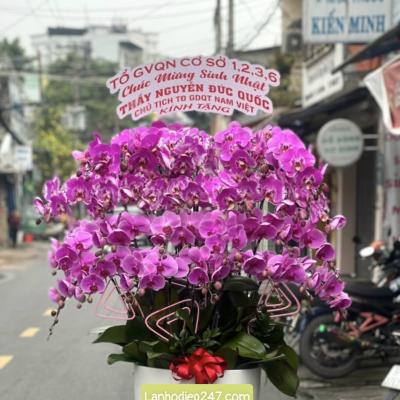 MieDianFlowers Nơi tìm thấy sự tinh tế của hoa