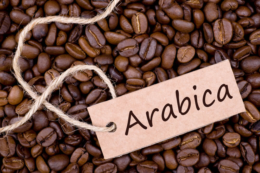 Top 3 Cơ Sở Sản Xuất Cà Phê Arabica Chất Lượng Tại Sài Gòn