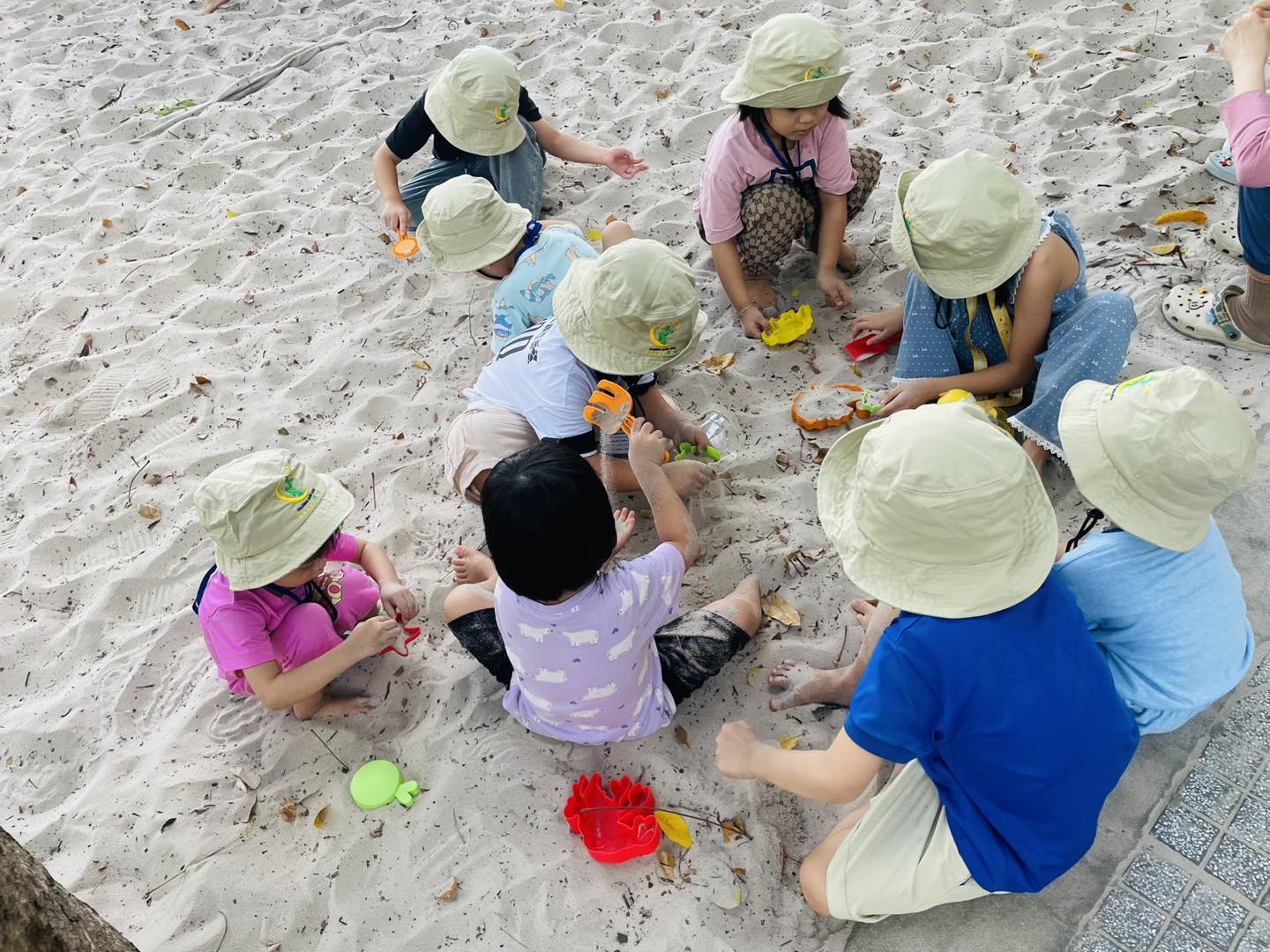 Top 3 Trường Mầm Non Chất Lượng – Uy Tín – Chu Đáo – Tận Tâm Tại Tân Bình, TP.HCM