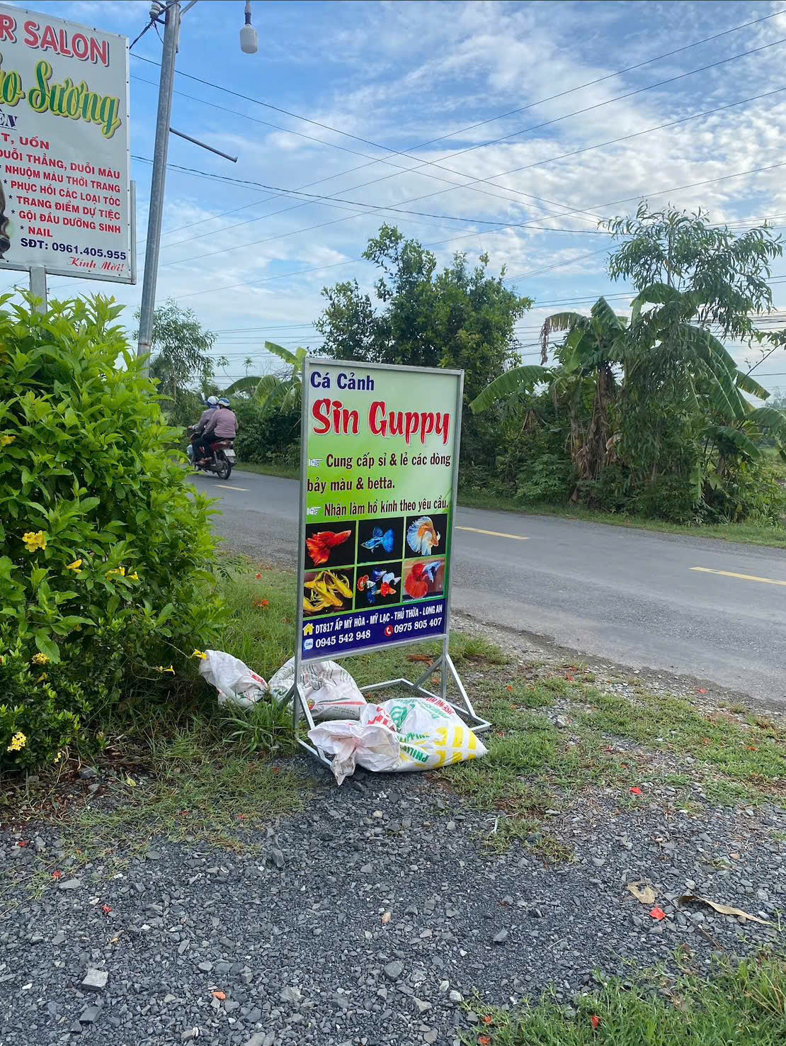 Top 3 cửa hàng cá cảnh uy tín, chất lượng tại khu vực Long An — Top 1: Cửa Hàng Cá Cảnh Sin Guppy (Cá Bảy Màu)