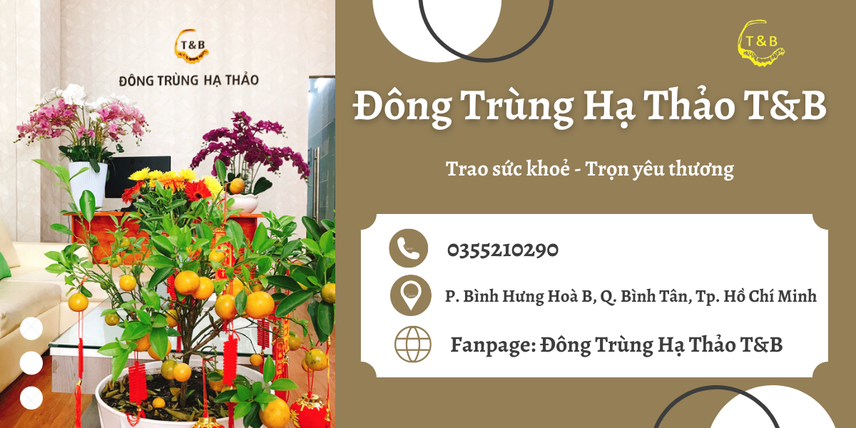 TOP 3 CỬA HÀNG ĐÔNG TRÙNG HẠ THẢO UY TÍN - CHẤT LƯỢNG NHẤT NĂM 2022