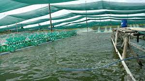 TOP CÔNG TY HÓA CHẤT XỬ LÝ NƯỚC THẢI TẠI TP HỒ CHÍ MINH