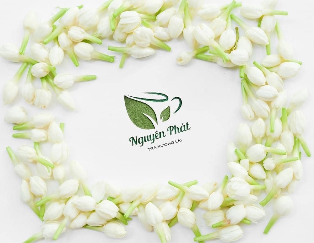 Top 3 cửa hàng hoa lài tươi tại quận 10 ,Tp HCM