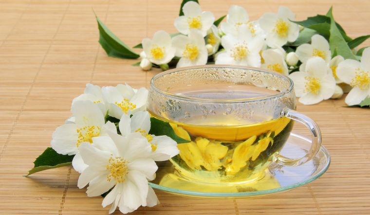 Top 3 cửa hàng hoa lài tươi tại quận 10 ,Tp HCM