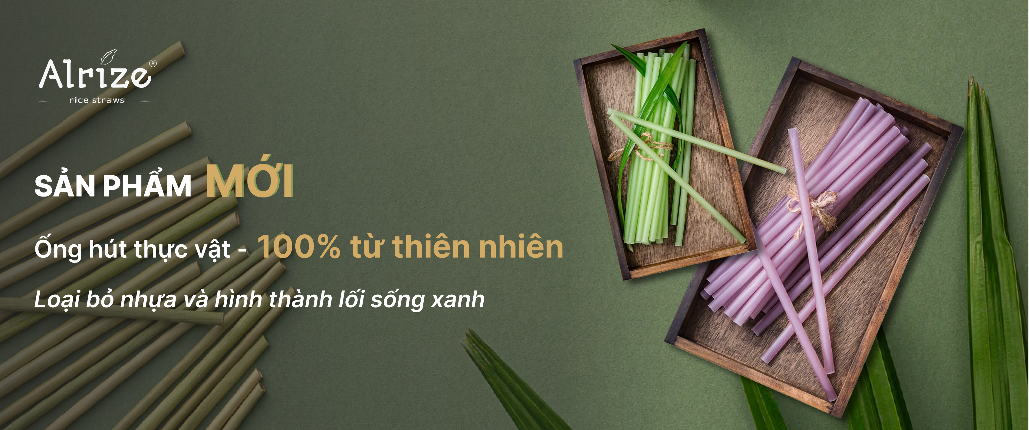 Giới Thiệu Ống Hút Thực Vật Arlize