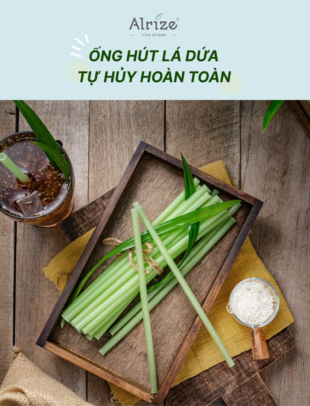 Giới Thiệu Ống Hút Thực Vật Arlize