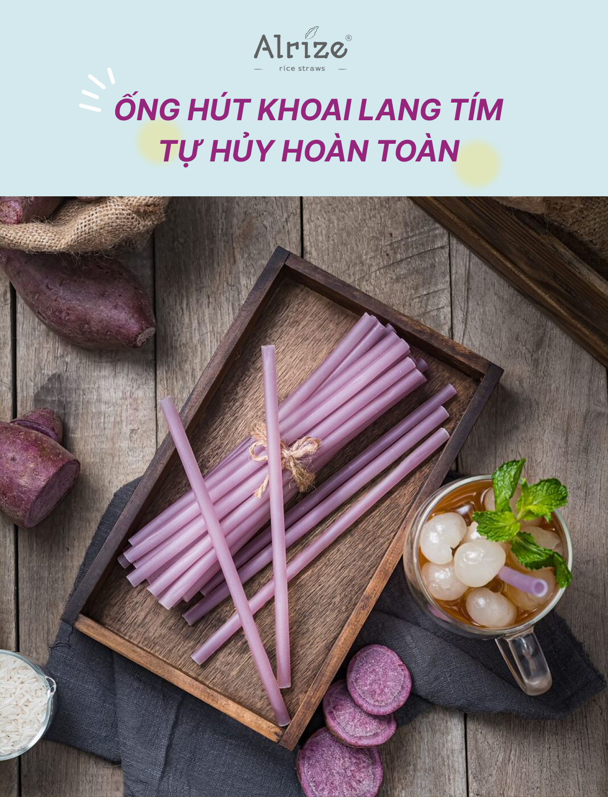 Giới Thiệu Ống Hút Thực Vật Arlize