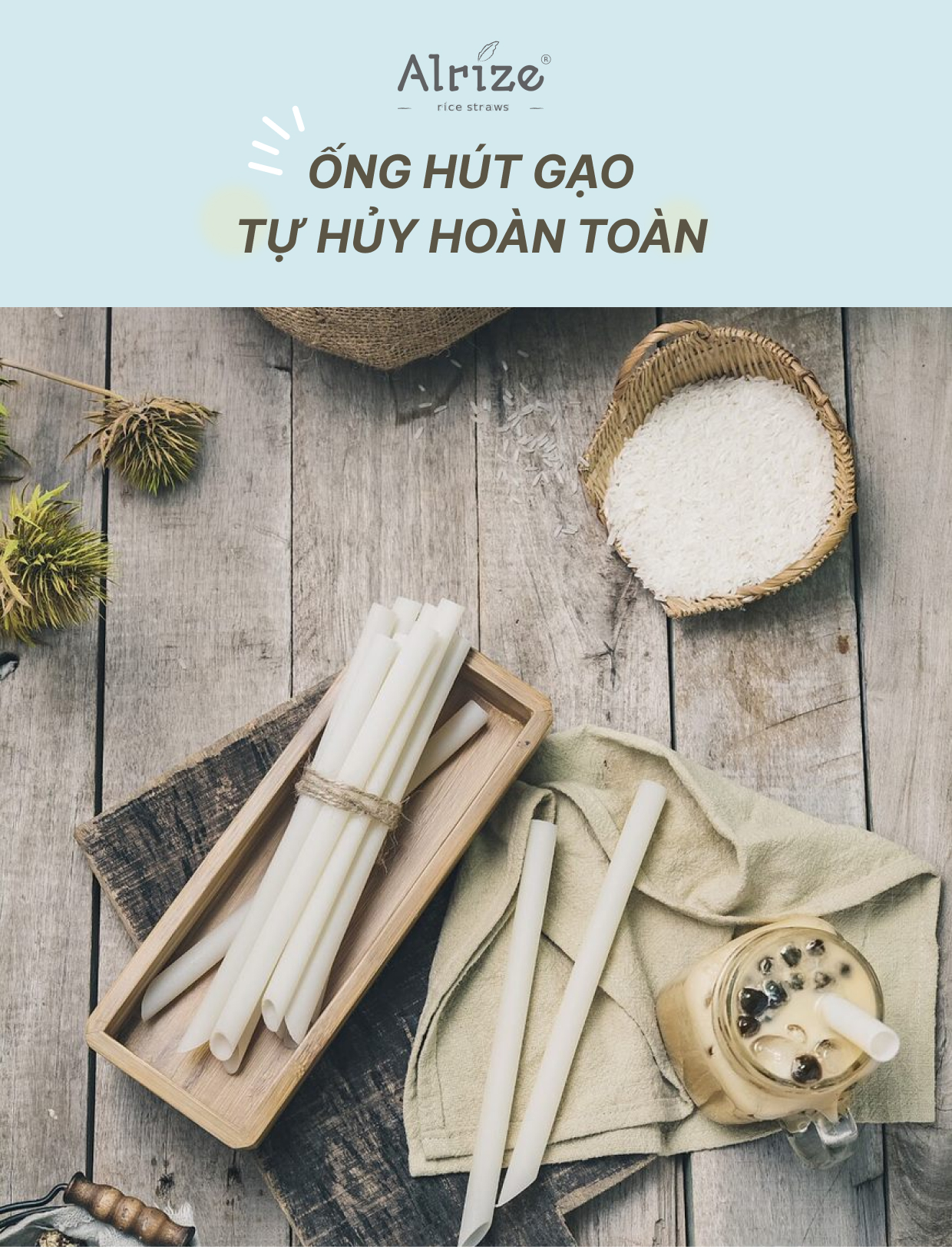 Giới Thiệu Ống Hút Thực Vật Arlize