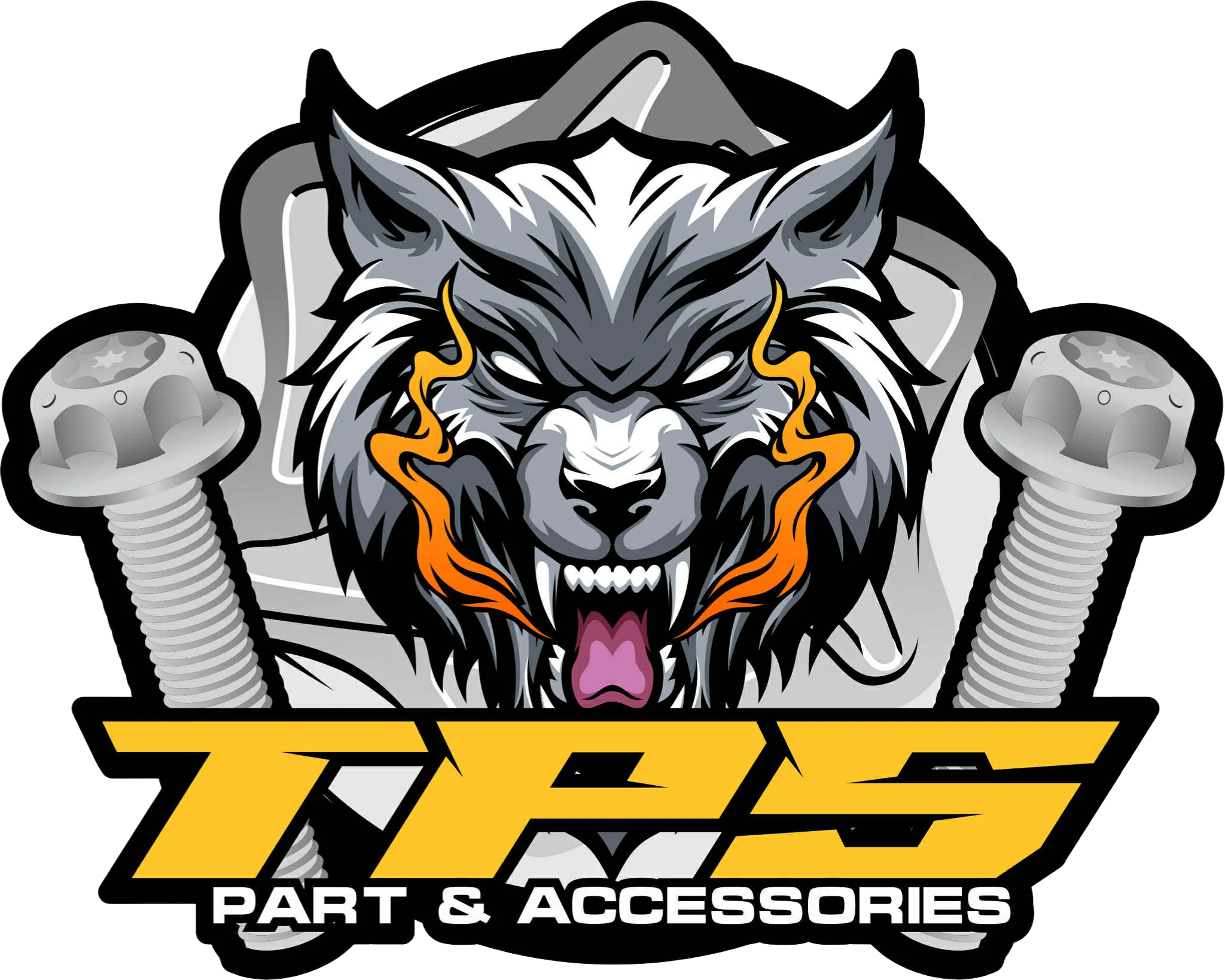 TOP 3 SẢN PHẨM BÁN CHẠY TẠI SHOP ĐỒ CHƠI XE TPS RACING