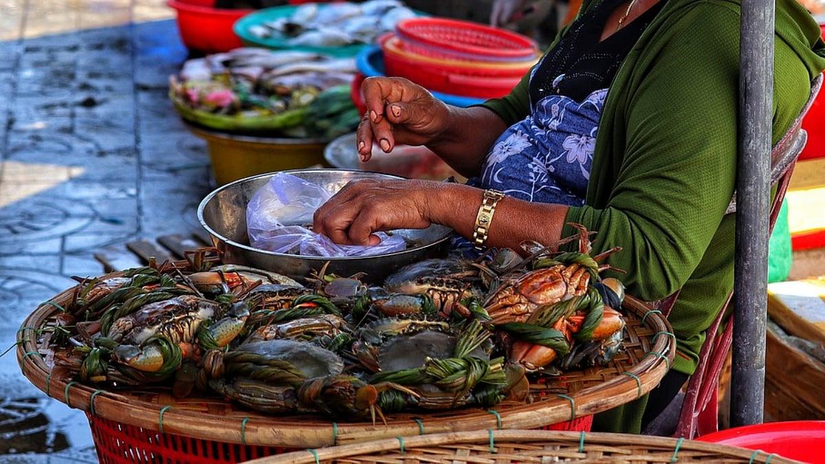 Top 3 cửa hàng hải sản ngon, tươi sống, chất lượng đáng mua tại Cà Mau