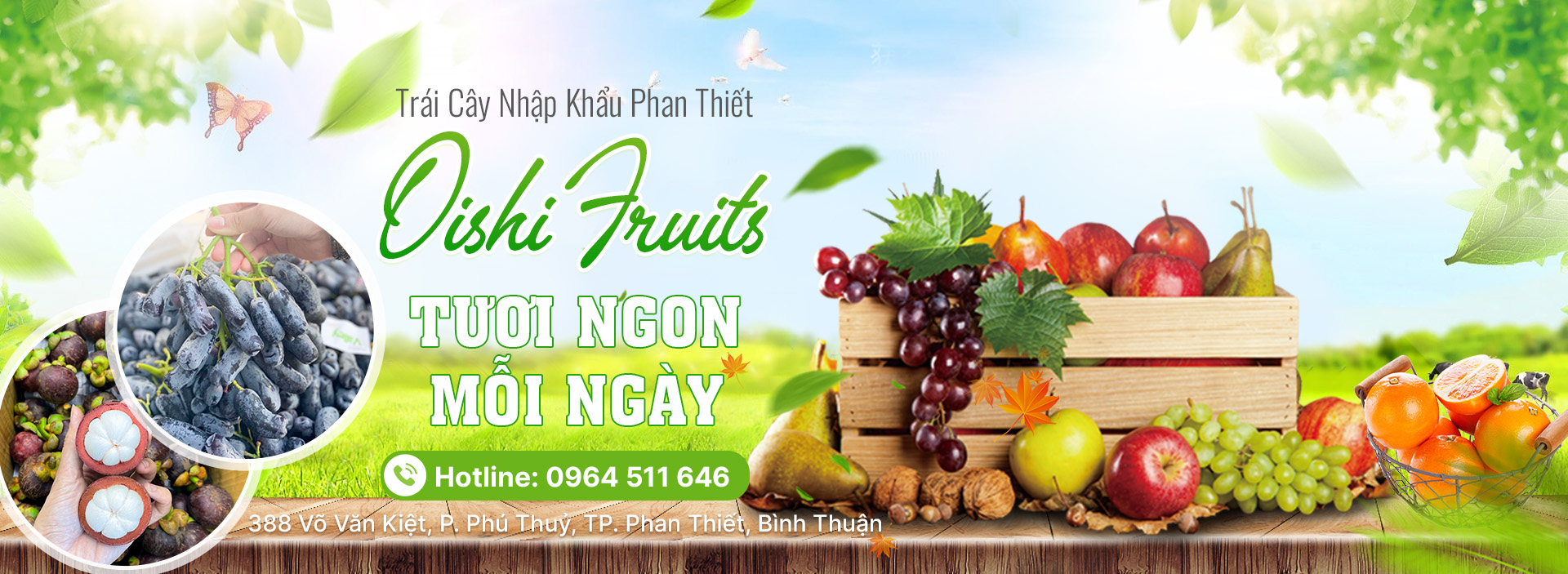 TOP 3 TIỆM TRÁI CÂY UY TÍN TẠI PHAN THIẾT, BÌNH THUẬN – TƯƠI NGON CHUẨN CHẤT LƯỢNG NHẬP KHẨU
