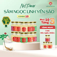 Top 3 Địa Điểm Cung Cấp Sâm Ngọc Linh và Yến Khánh Hòa Tại TP. Hồ Chí Minh