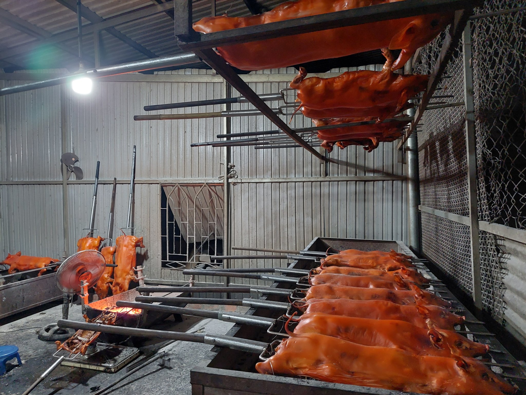 Heo sữa quay ngon, uy tín tại Dĩ An, Bình Dương-2
