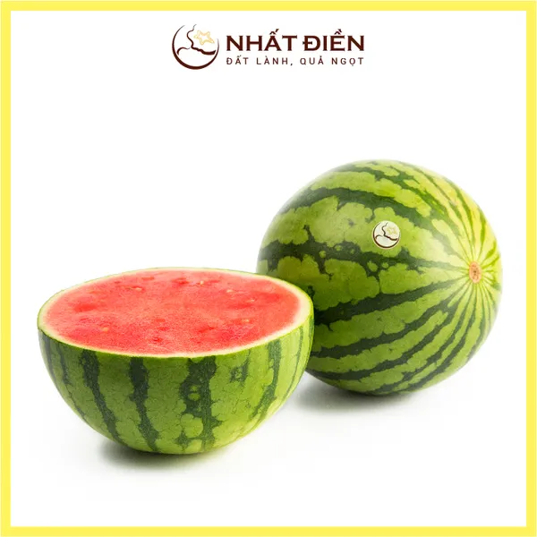 Top 3 Đơn Vị Cung Cấp Trái Cây, Nông Sản Sạch Tại TP. Hồ Chí Minh