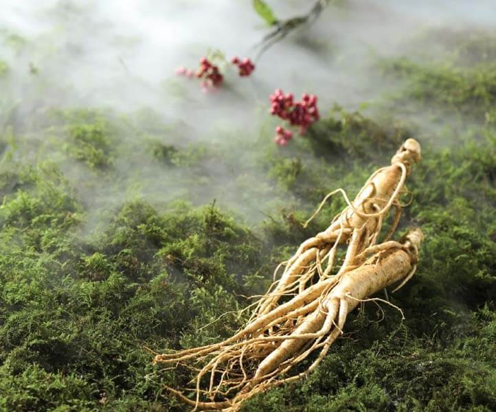 Top 3 Đơn Vị Chuyên Cung Cấp Sản Phẩm Từ Nhân Sâm Và Đông Trùng Hạ Thảo Uy Tín Tại TP.HCM