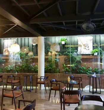 Top 3 Đơn Vị Uy Tín Cung Cấp Cây Cảnh, Hoa Kiểng Tại Bình Phước