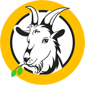 Top 3 Địa Chỉ Cung Cấp Dê Tươi Uy Tín Tại Hồ Chí Minh