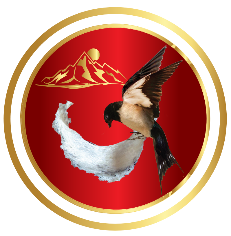 Top 3 Công Ty Chuyên Cung Cấp Yến Sào Uy Tín Tại Hồ Chí Minh