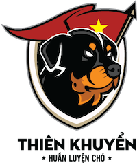Top 3 trung tâm huấn luyện chó Thiên Khuyển uy tín tại Bình Thạnh