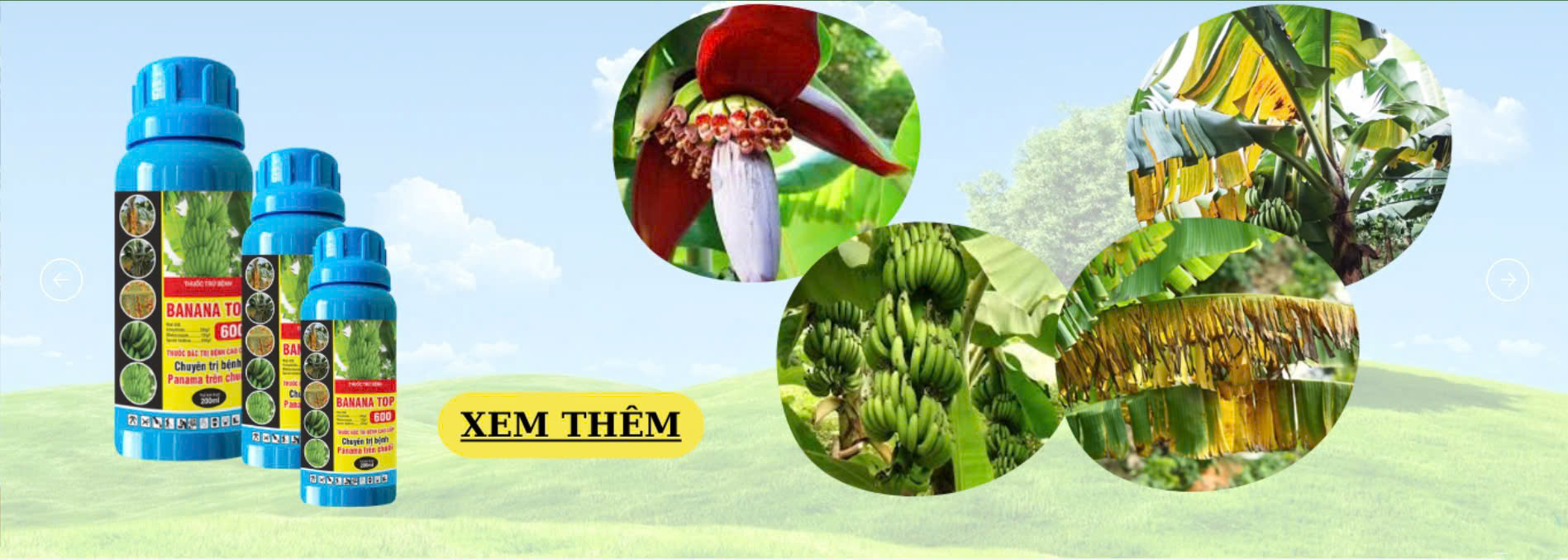 TOP 3 Đơn Vị Thuốc Bảo Vệ Thực Vật Uy Tín Tại TP. Hồ Chí Minh