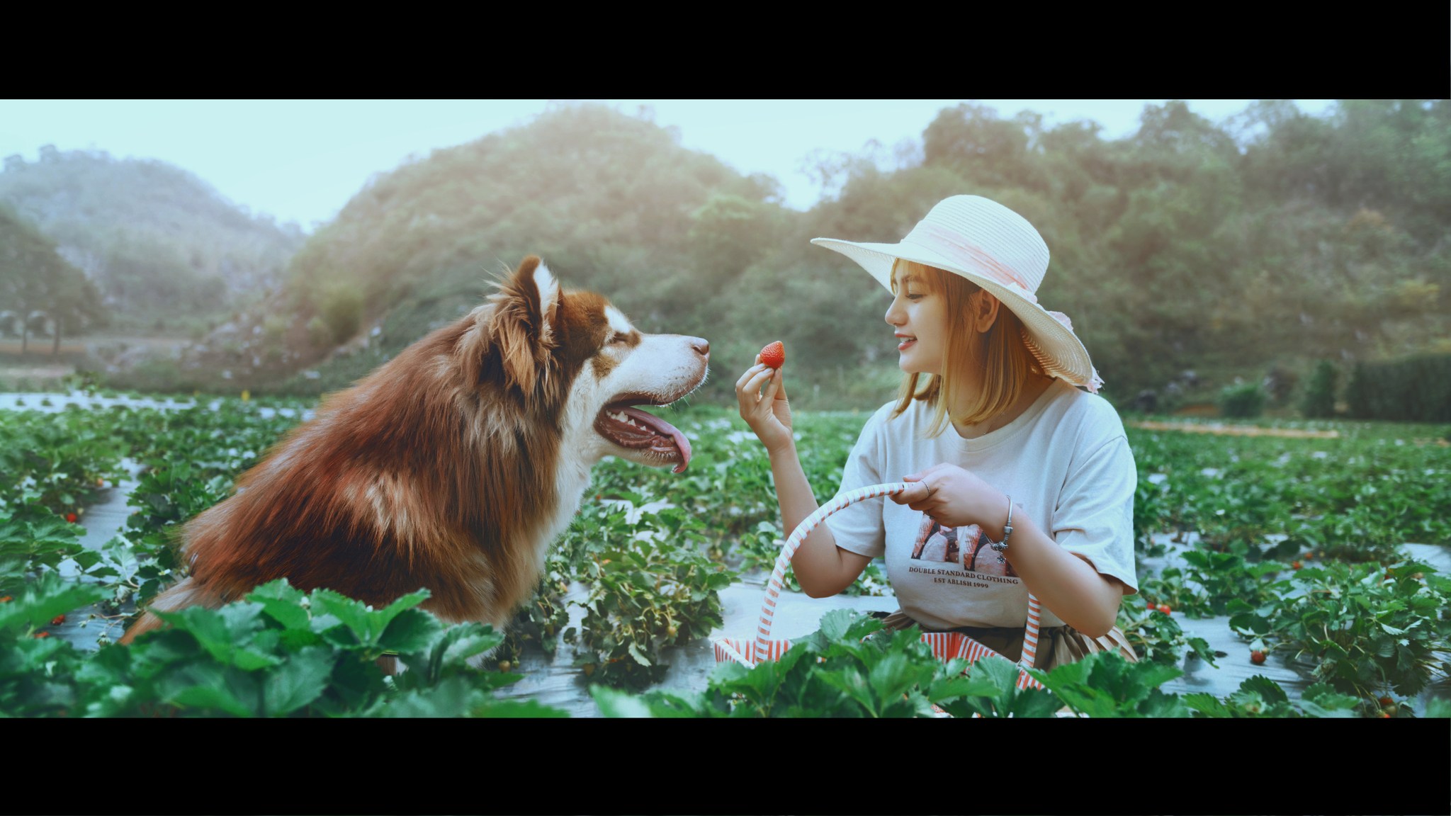 Top 3 cửa hàng thú cưng uy tín nhất tại Quận Tân Bình – Hồ Chí Minh