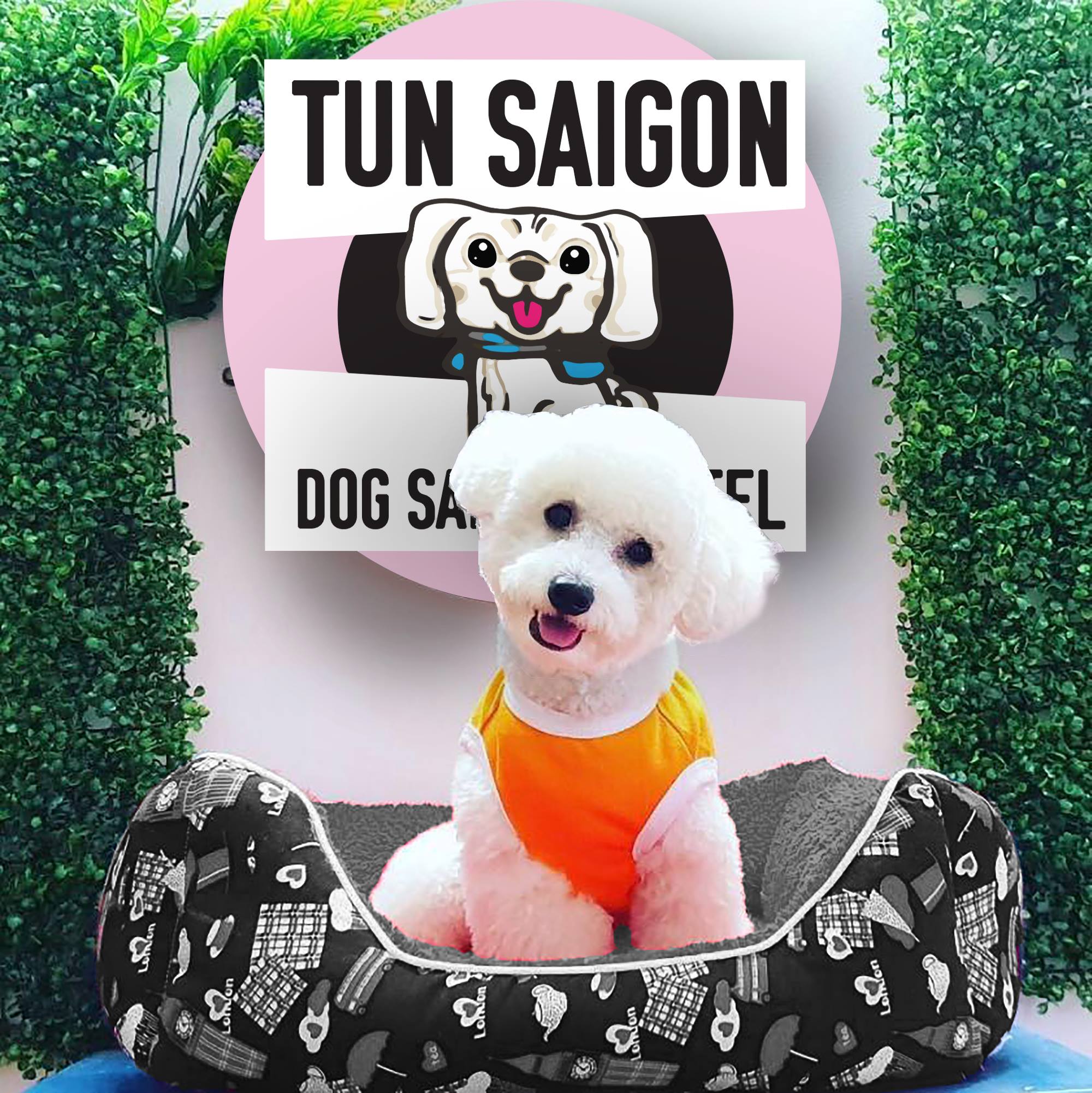 Top 3 petshop có dịch vụ chăm sóc thú cưng uy tín nhất tại tphcm
