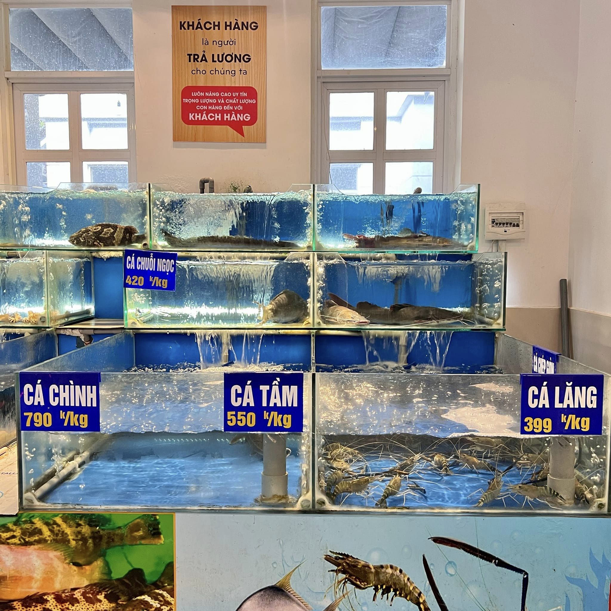 Top 3 Nhà hàng hải sản ngon nhất ở TP. HCM