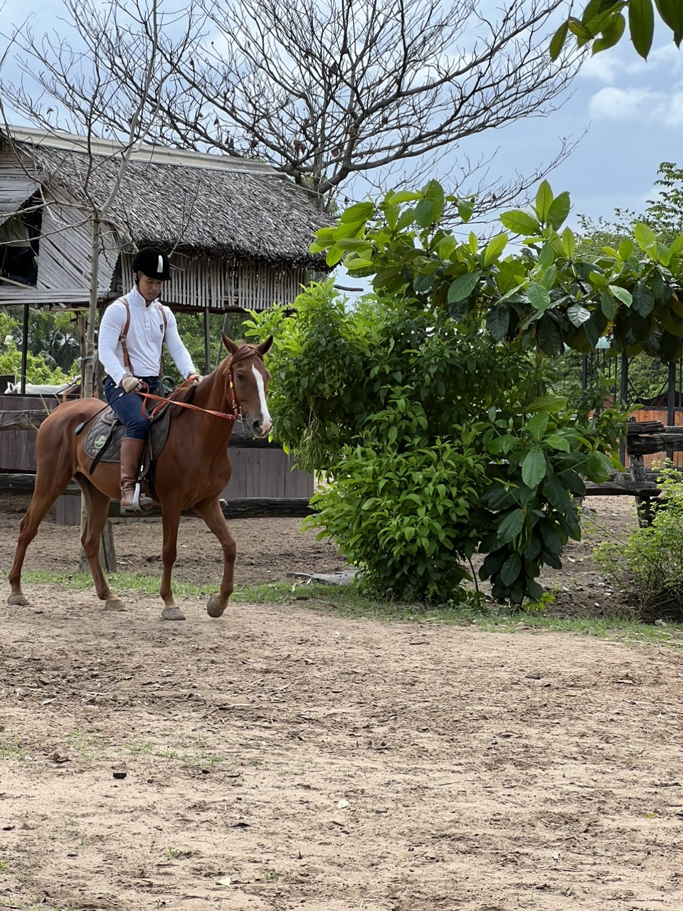 Top 3 Điểm đến cho người mê cưỡi ngựa 