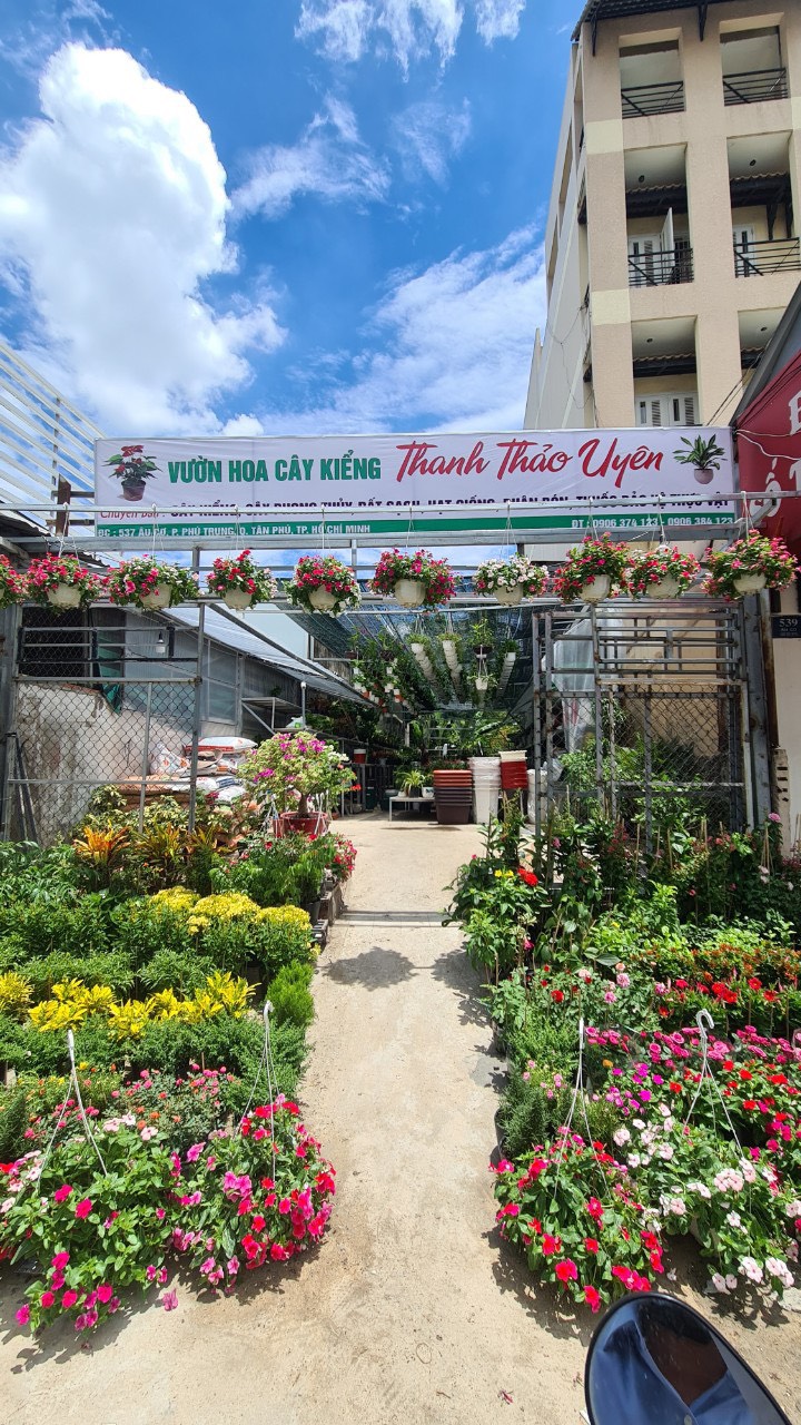 Cửa hàng cây kiểng Thanh Thảo Uyên tại Tân Phú - Nơi mang thiên nhiên về nhà