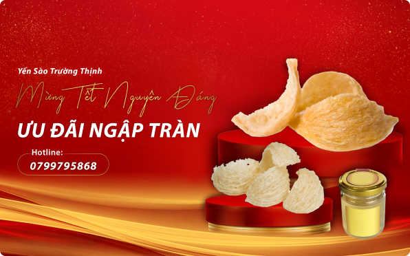 yến sào