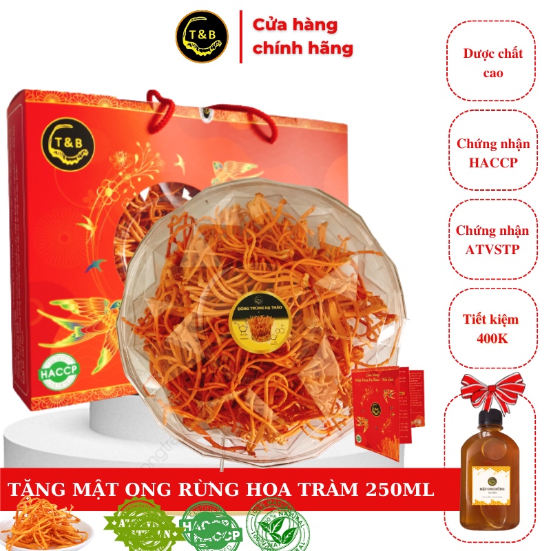Đông Trùng Hạ Thảo
