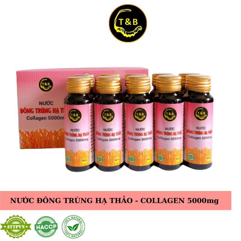 Đông Trùng Hạ Thảo