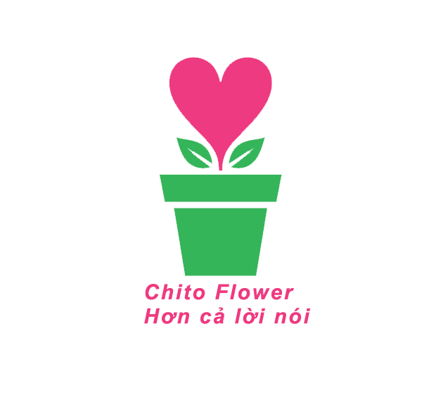 Top 3 Cửa Hàng Hoa Tươi Rẻ Đẹp Và Chất Lượng Tại Hóc Môn, HCM