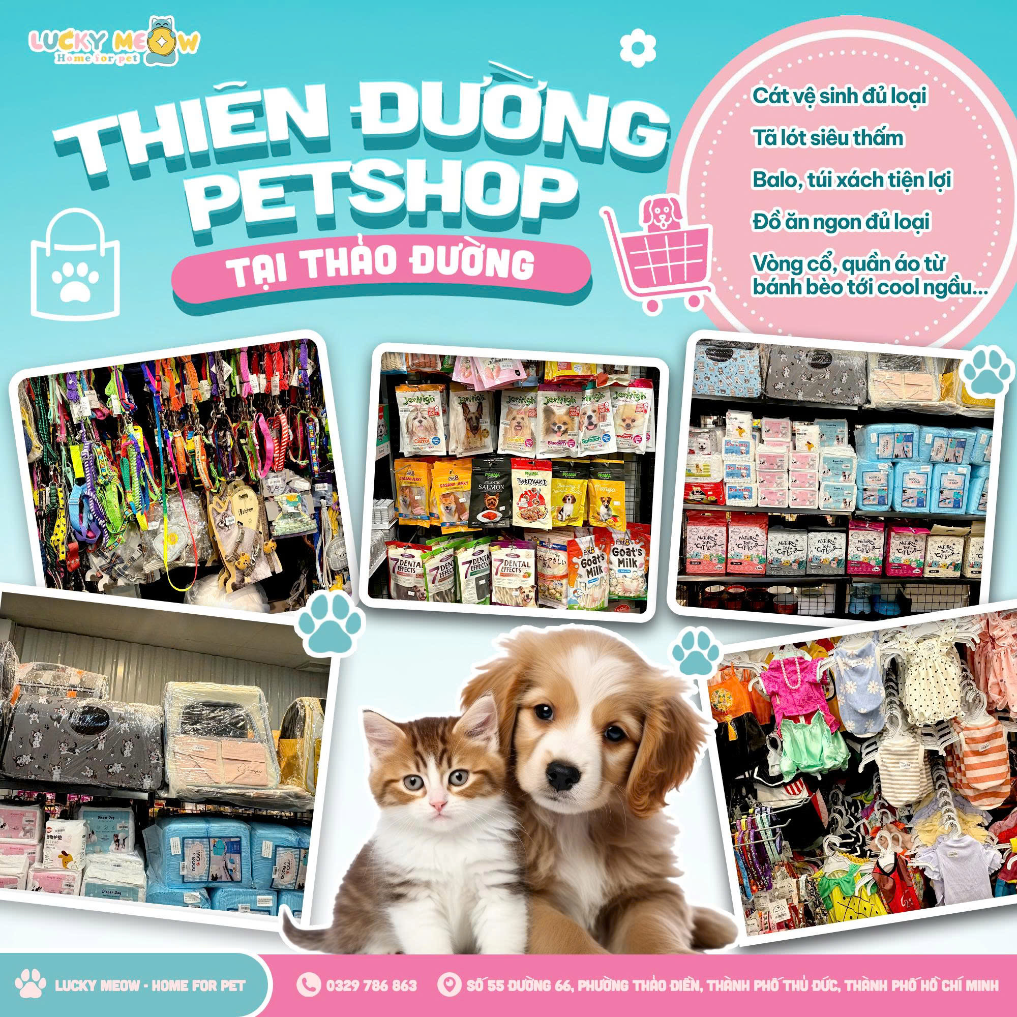 Top 3 Cửa Hàng Pet Shop Uy Tín, Chất Lượng, Giá Cả Hợp Lý Ở Thủ Đức