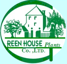 Top 3 Cửa Hàng Cây Cảnh Đẹp, Uy Tín Ở Quận 12 – Nơi Mang Màu Xanh Đến Không Gian Sống