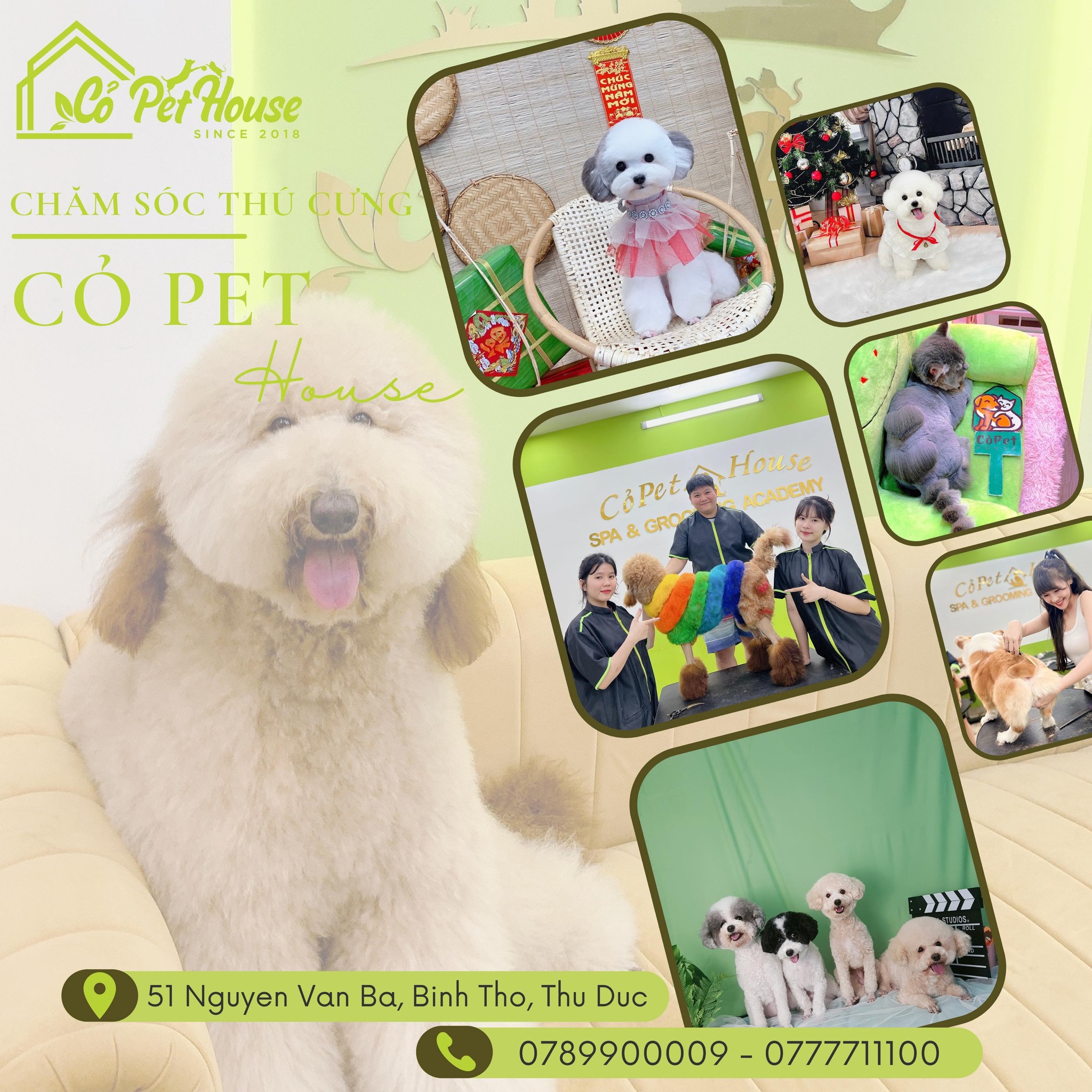 Top 3 Cửa Hàng Pet Shop Dịch Vụ Chất Lượng, Uy Tín Nhất Tại Thủ Đức