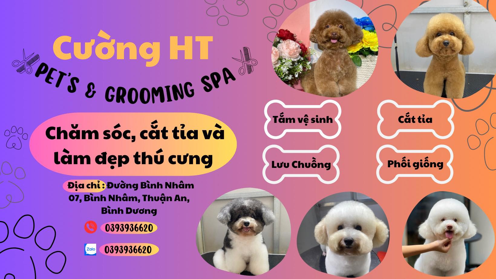 Top 3 Spa Thú Cưng Uy Tín Tại Bình Nhâm, Thuận An, Bình Dương